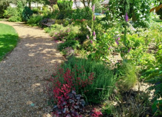 ČUPANJE KOROVA ODLAZI U ZABORAV: Pospite 1 namirnicu po njemu i biće trajno uništen