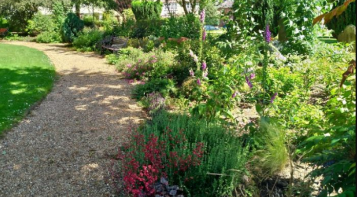 ČUPANJE KOROVA ODLAZI U ZABORAV: Pospite 1 namirnicu po njemu i biće trajno uništen