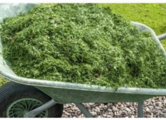 NIKAD NEMOJTE BACATI POKOŠENU TRAVU, samo uradite ovo! Bolje od 100 gnojiva!