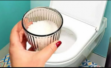 1 šolja obične SOLI dovoljna je za rješavanje ovih 8 najvećih kućnih problema: ŠTEDI!