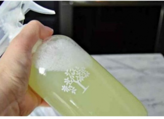 U Kući Više Nećete Naći Paukove, Muhe Ili Prehrambene Moljce: Jednostavno Kućno Rješenje Koje Će Ih TRAJNO 0tjerati (RECEPT)!