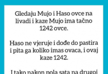 VIC OD KOJEG ĆETE PLAKATI OD SMIJEHA: Gledaju Mujo i Haso ovce…