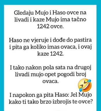 VIC OD KOJEG ĆETE PLAKATI OD SMIJEHA: Gledaju Mujo i Haso ovce…