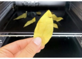 Stavite običan list LOVORA u rernu i uključite na 20 minuta: ZA OVO SVI TREBA DA ZNAJU