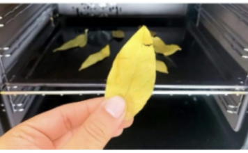 Stavite običan list LOVORA u rernu i uključite na 20 minuta: ZA OVO SVI TREBA DA ZNAJU