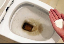 Zaboravite OCAT: Ovaj sastojak iz kuhinje čisti toalet u trenu – bez kamenca, žutih mrlja i mirisa!