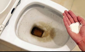 Zaboravite OCAT: Ovaj sastojak iz kuhinje čisti toalet u trenu – bez kamenca, žutih mrlja i mirisa!