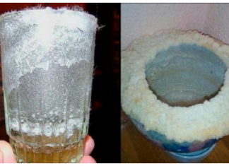 U sobu sam stavio čašu sa VODOM i soli zato što mi je djevojka to rekla: Ono što se dogodilo u jednom danu je NEVJEROVATNO