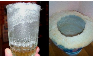 U sobu sam stavio čašu sa VODOM i soli zato što mi je djevojka to rekla: Ono što se dogodilo u jednom danu je NEVJEROVATNO