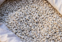 Grah prije kuhanja nikako nemojte potapati u vodi: Umjesto toga iskoristite jednu namirnicu