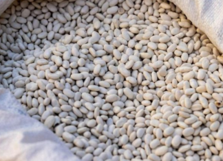 Grah prije kuhanja nikako nemojte potapati u vodi: Umjesto toga iskoristite jednu namirnicu