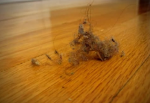 PRAŠINA U STANU ME IZLUĐIVALA, A ONDA MI JE SVEKRVA DALA ODLIČAN RECEPT: Sad čistim kuću trostruko rjeđe A SVE BLISTA