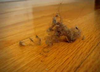 PRAŠINA U STANU ME IZLUĐIVALA, A ONDA MI JE SVEKRVA DALA ODLIČAN RECEPT: Sad čistim kuću trostruko rjeđe A SVE BLISTA