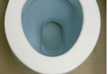 STAVILA ČEN BIJELOG LUKA U PRLJAVU WC ŠOLJU SINOĆ: Ujutro ustala i pustila vodu, evo šta se desilo i vi ćete uraditi isto!