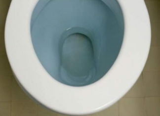 STAVILA ČEN BIJELOG LUKA U PRLJAVU WC ŠOLJU SINOĆ: Ujutro ustala i pustila vodu, evo šta se desilo i vi ćete uraditi isto!