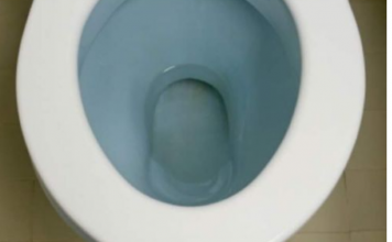 STAVILA ČEN BIJELOG LUKA U PRLJAVU WC ŠOLJU SINOĆ: Ujutro ustala i pustila vodu, evo šta se desilo i vi ćete uraditi isto!