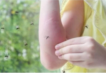 Sipajte OVO u čašu vode i komarci vam neće ulaziti u kuću: Napravite moćan alat za uživanje u ljetnim večerima!