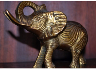 Ako imate figuricu slona u kući, evo gde treba da stoji kako biste prizvali ljubav i sreću