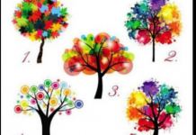 TEST: Krošnja koja vas najviše privlači otkriva ISTINU o vama!