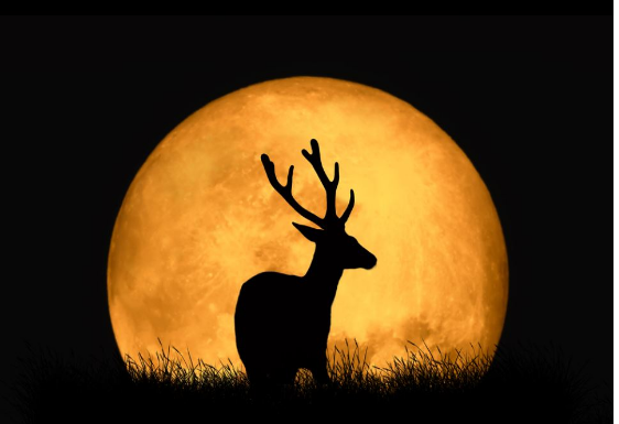 Pun Mesec u Vagi njima izmiče tlo pod nogama: Za 4 horoskopska znaka od ovog datuma u aprilu sve se menja