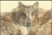 KOJA JE PRVA ŽIVOTINJA KOJU STE VIDJELI NA SLICI: Samo mali broj ljudi primjećuje jednu, a to otkriva vaše najdublje tajne