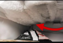 Zašto nisam ranije prepoznao ovaj TRIK? Najlakši način da odmrznete svoj zamrzivač bez napora – nema više stvaranja leda u njemu!