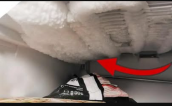 Zašto nisam ranije prepoznao ovaj TRIK? Najlakši način da odmrznete svoj zamrzivač bez napora – nema više stvaranja leda u njemu!