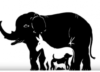 Broj životinja koje vidite otkriva koliku moć fokusiranja imate, EVO ŠTA ZNAČI AKO IH VIDITE SVE