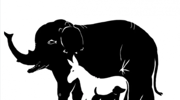 Broj životinja koje vidite otkriva koliku moć fokusiranja imate, EVO ŠTA ZNAČI AKO IH VIDITE SVE