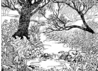 Mnogi su probali, ali nisu uspeli: Svako ko pronađe ženu na fotografiji ima natprosečnu inteligenciju