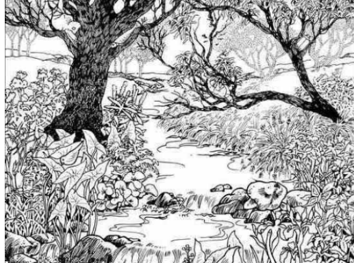 Mnogi su probali, ali nisu uspeli: Svako ko pronađe ženu na fotografiji ima natprosečnu inteligenciju