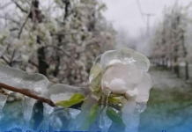 U najavi i SNIJEG: Sutra mraz, od petka ZNAČAJNO HLADNIJE, a evo koliko ćemo čekati na OTOPLJENJE