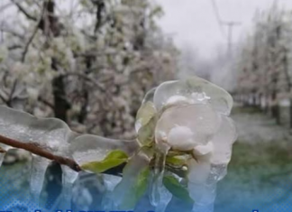 U najavi i SNIJEG: Sutra mraz, od petka ZNAČAJNO HLADNIJE, a evo koliko ćemo čekati na OTOPLJENJE