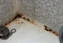 Moćnija od sirćeta i sode bikarbone: Ova namirnica nema šta ne čisti, a uništava kamenac i fleke