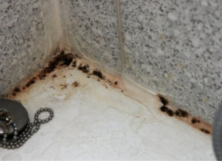 Moćnija od sirćeta i sode bikarbone: Ova namirnica nema šta ne čisti, a uništava kamenac i fleke