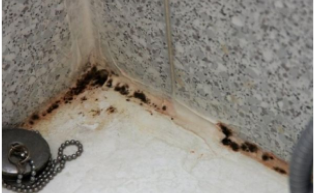 Moćnija od sirćeta i sode bikarbone: Ova namirnica nema šta ne čisti, a uništava kamenac i fleke