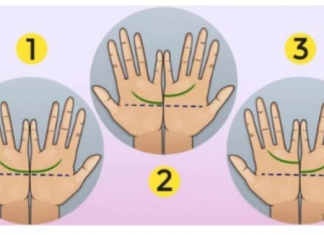 Da li vam se na rukama dodiruju ove linije ili ne? Evo šta to govori o vama, jako će vas iznenaditi