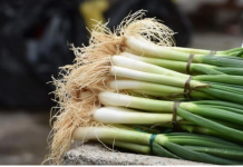 OVO SU 3 RAZLOGA ZBOG KOJIH TREBA JESTI MLADI LUK: Perca su posebno važna i posle ove informacije ješćete ga u izobilju!