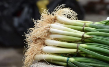 OVO SU 3 RAZLOGA ZBOG KOJIH TREBA JESTI MLADI LUK: Perca su posebno važna i posle ove informacije ješćete ga u izobilju!