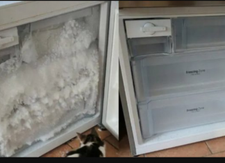 TRIK za odmrzavanje zamrzivača za nekoliko minuta i bez napora!