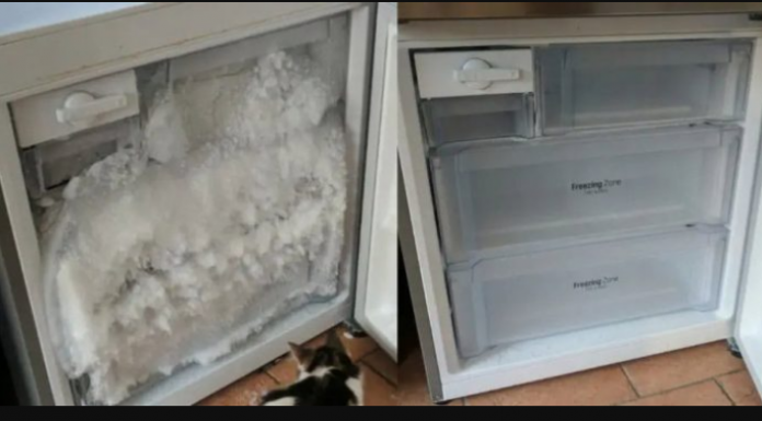 TRIK za odmrzavanje zamrzivača za nekoliko minuta i bez napora!