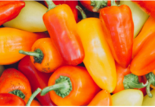 Ne bacajte nikad peteljke od paprika, kad čujete čemu služe čuvaćete ih kao da su od zlata!