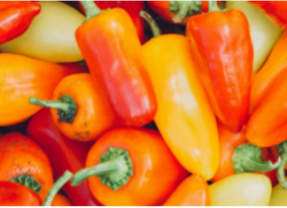 Ne bacajte nikad peteljke od paprika, kad čujete čemu služe čuvaćete ih kao da su od zlata!