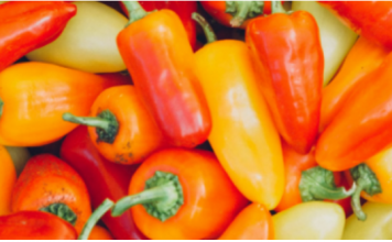 Ne bacajte nikad peteljke od paprika, kad čujete čemu služe čuvaćete ih kao da su od zlata!