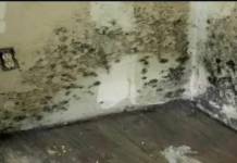 Stari SAVJET kako trajno ukloniti plijesan na zidovima vašeg stana: Nestat će i nikada se više neće pojaviti!