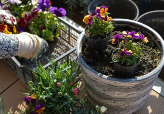 Kada sadite cveće, zakopajte mrvicu ovoga na dno saksije: Za nekoliko dana bujaće kao lude