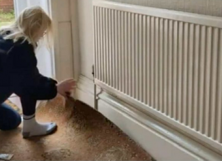 Ana je podigla stari tepih, pa umalo vrisnula od šoka: Ono što je našla ispod nije očekivala ni u snovima