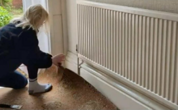 Ana je podigla stari tepih, pa umalo vrisnula od šoka: Ono što je našla ispod nije očekivala ni u snovima