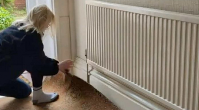 Ana je podigla stari tepih, pa umalo vrisnula od šoka: Ono što je našla ispod nije očekivala ni u snovima