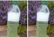 Sredstvo za ubijanje korova za par centi – očistilo je beton, terasu i cijelu baštu: ISPROBANO I NAJJAČE, NE MOGU GA ODLOŽITI!